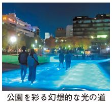 公園を彩る幻想的な光の道の写真