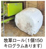 牧草ロール(1個150キログラムあります)の写真