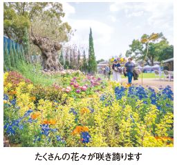たくさんの花々が咲き誇ります