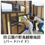 同公園の野鳥観察施設 （バードハイド）