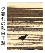 夕暮れの和白干潟の写真