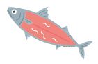 アニサキスのイラスト
