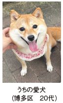うちの愛犬 (博多区 20代)