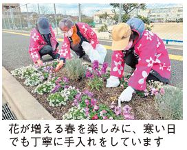 花壇の手入れの写真(花が増える春を楽しみに、寒い日でも丁寧に手入れをしています)