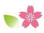 桜のイラスト
