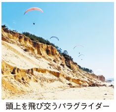 頭上を飛び交うパラグライダーの写真