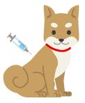 犬と注射器のイラスト
