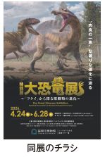 同展のチラシ