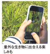 意外な生き物に出合える楽 しみも