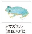 アオガエル （東区70代）