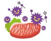 菌やウイルスのイラスト