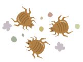 ダニのイラスト