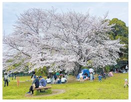 西南杜の湖畔公園の写真