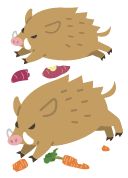 イノシシのイラスト