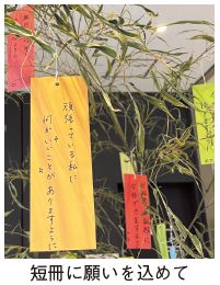 七夕飾りの短冊の写真(短冊に願いを込めて)