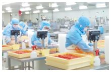 製造ラインの写真