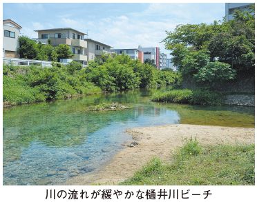 川の流れが緩やかな樋井川ビーチの写真
