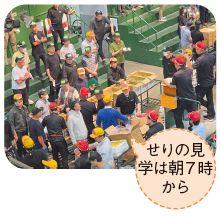 せりの写真(せりの見学は朝7時から)