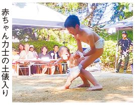 赤ちゃん力士の土俵入りの写真