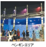ペンギンエリア