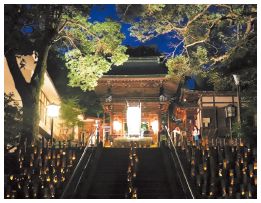 参道や神社が竹灯籠でライトアップされている写真