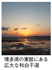 博多湾の東部にある広大な和白干潟の写真