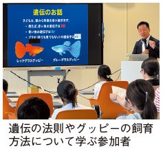 遺伝の法則やグッピーの飼育方法について学ぶ参加者の写真