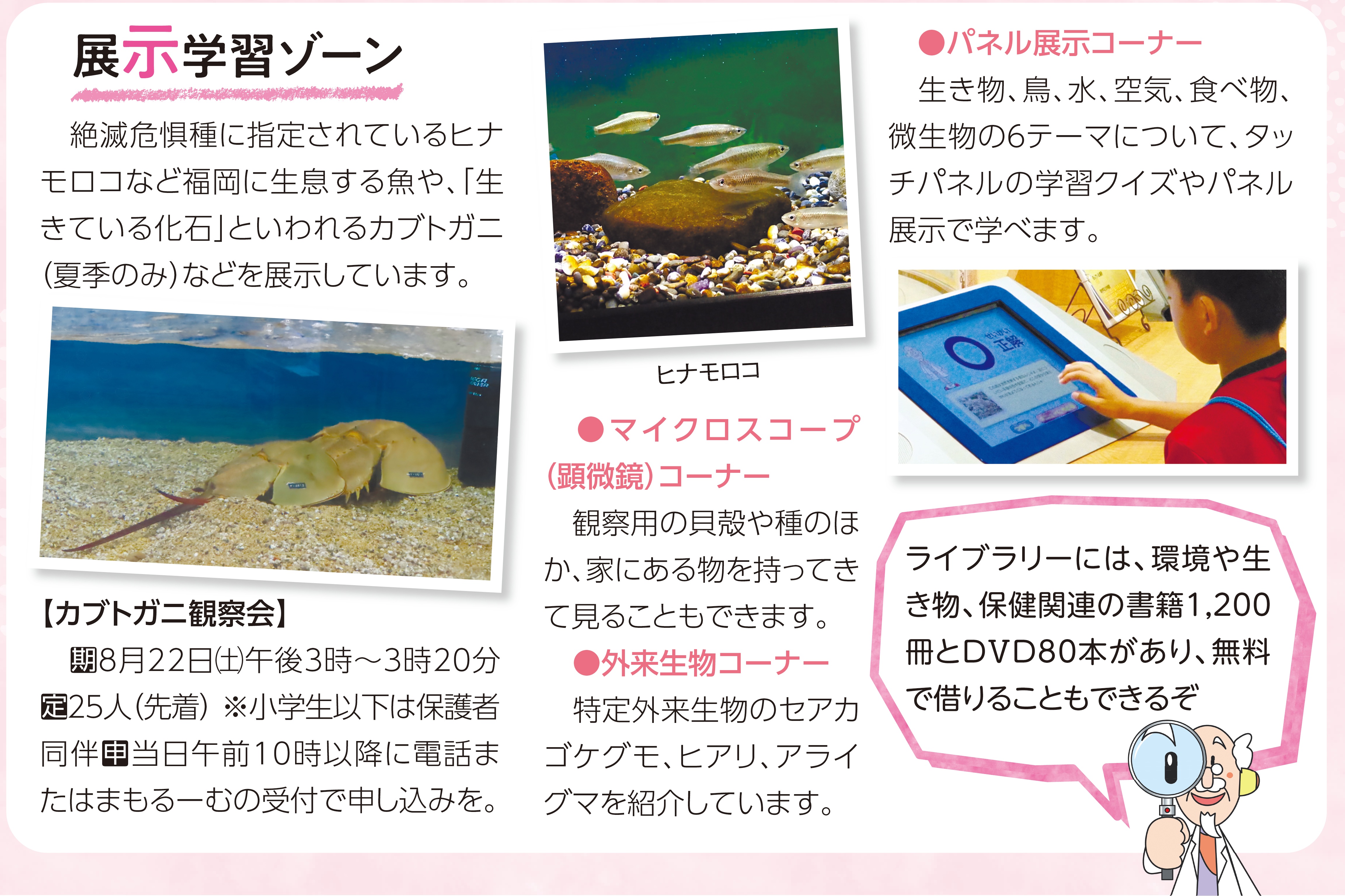 展示学習ゾーン