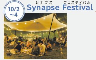 Synapse(シナプス) Festival(フェスティバル) New!