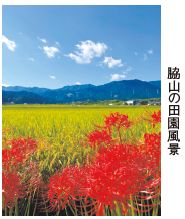 脇山の田園風景