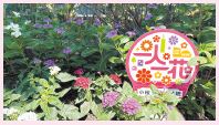 一人一花オリジナルプレートの写真