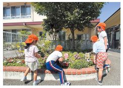 園児たちが花の成長を観察している写真