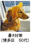 暑さ対策 (博多区 50代)