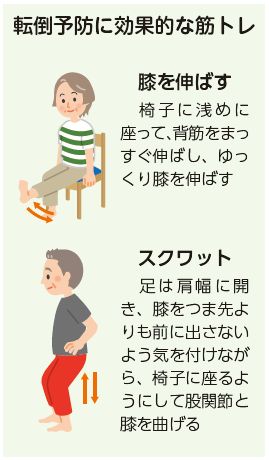 転倒予防に効果的な筋トレ(膝を伸ばす スクワット)のイラスト