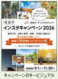 キャンペーンのキービジュアル