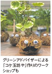 グリーンアドバイザーによる 「コケ玉坊や」作りのワーク ショップも