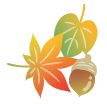 紅葉のイラスト