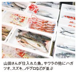 山田さんが仕入れた魚。サワラの他にハガツオ、スズキ、ノドグロなどが並ぶ
