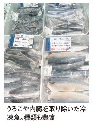 うろこや内臓を取り除いた冷凍魚。種類も豊富