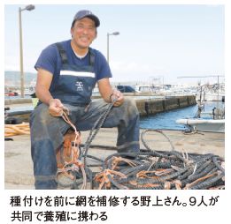 種付けを前に網を補修する野上さん。9人が共同で養殖に携わる