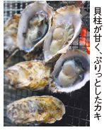 貝柱が甘く、ぷりっとしたカキ