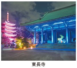 東長寺の写真
