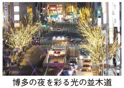 博多の夜を彩る光の並木道の写真