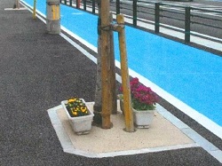 通学路沿いに設置しているプランターの写真１