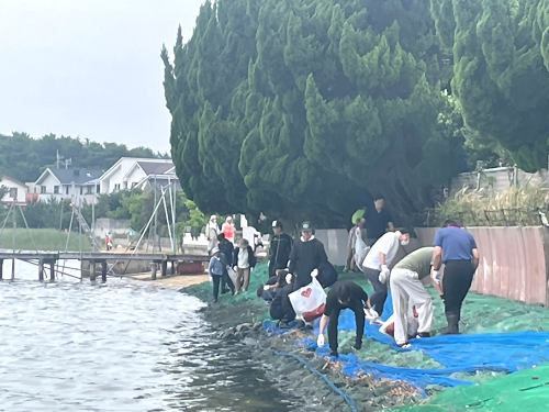 海岸沿いのごみ拾いをしている画像