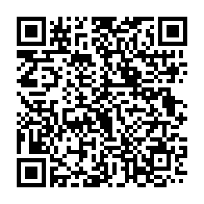 投票フォームリンク用二次元コード