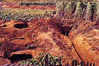 写真：1952（昭和27）年の発掘調査でみつかった、板付遺跡の環濠（集落を囲む水堀）の跡と、その外側に並ぶ貯蔵穴（食料などを保管するために掘られた穴）を、南から写したもの。濠は写真の奥に向けて、南北方向にのびており、断面はV字形をしている。濠に沿うように、3つの貯蔵穴が並んでいる。