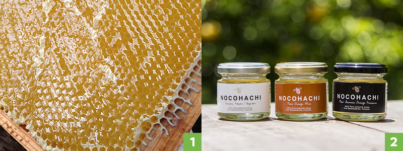 画像：「NOKOHACHI」の商品