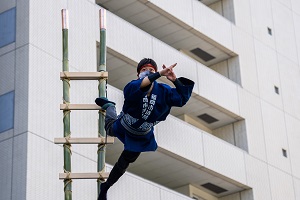 梯子乗りを披露している写真