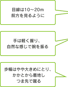 目線は10～20ｍ前方を見るように、手は軽く握り、自然な感じで腕を振る、歩幅やや大きめにとり、かかとから着地しつま先で蹴る